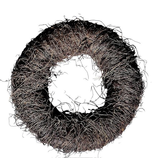Krans pampass grass L. afbeelding 1