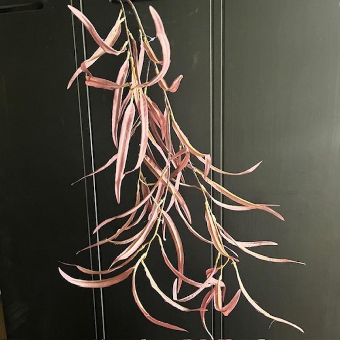 Kunst fine leaf paars.