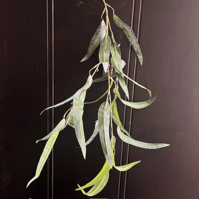 Kunst Eucalypthus langbladig groen.