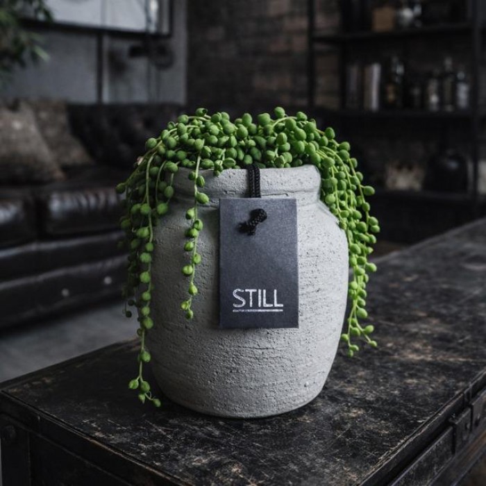 Small bottle M taupe. (TIJDELIJK UITVERKOCHT).