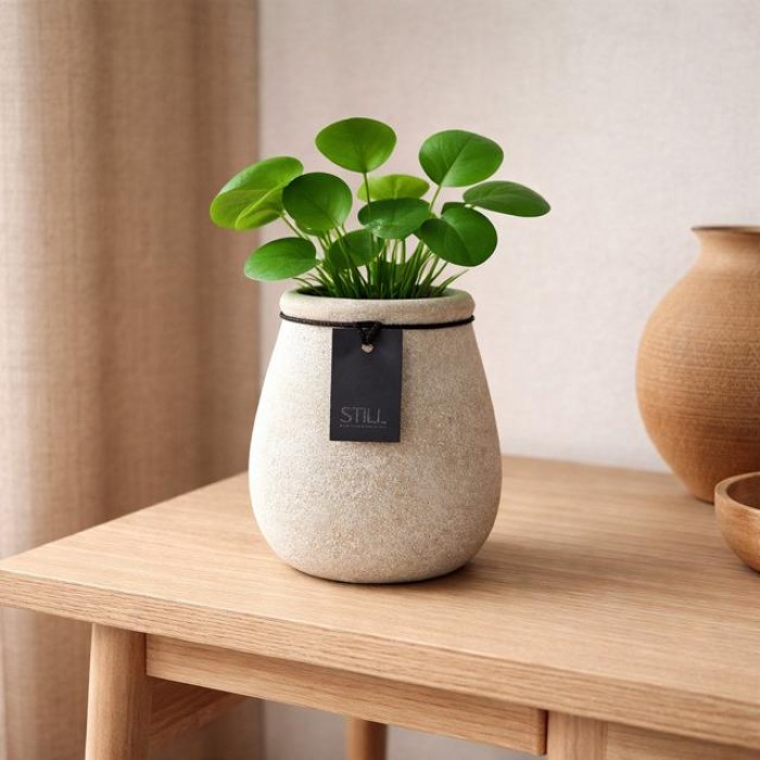 Vaas tall S light. (TIJDELIJK UITVEREKOCHT)