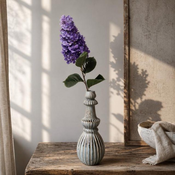 Pluimhortensia paars.
