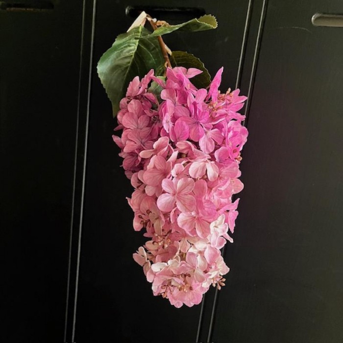Kunst Pluim hortensia roze.