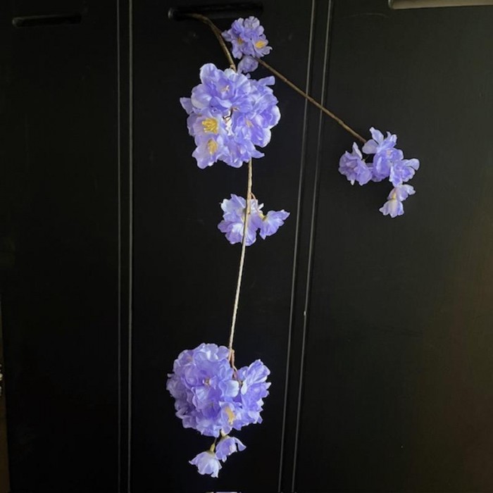 Kunst Prunus Malaga paars.